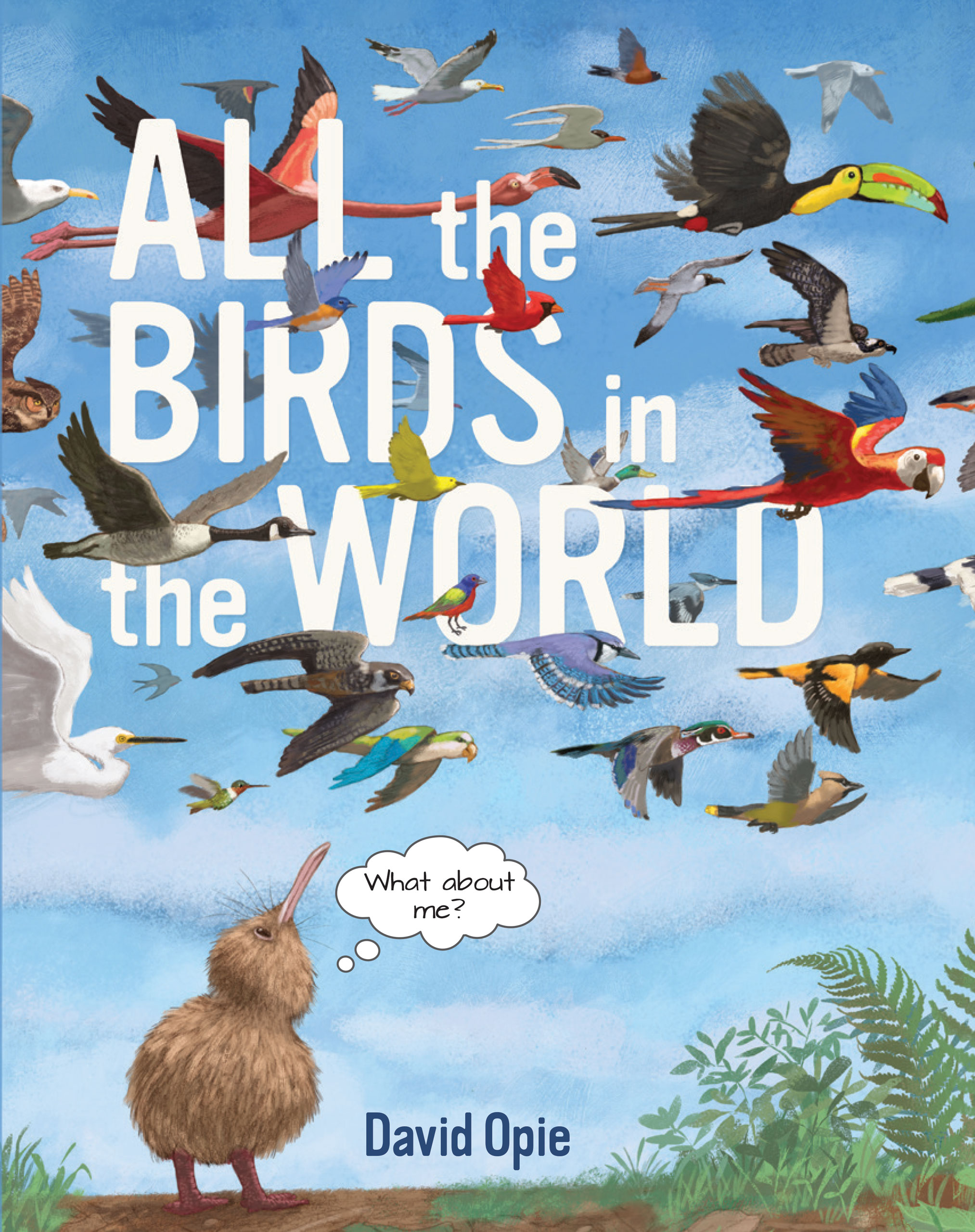 All the Birds in the World – Peter Pauper Press
